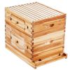 VEVOR Bee Hive 20 Frame Bee Hives Starter Kit, Beeswax Coated Cedar Wood, 1 Deep + 1 Medium Bee Boxes Langstroth Beehive Kit
