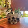 1pc Skull Planter Pots For Indoor Plants; Skull Plant Pot Head Yard Art Outdoor And Garden Decor Outside Spring Skull Flower Pot