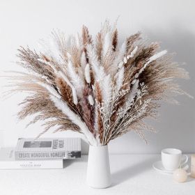 Phragmites Dried Flowers Bouquet Long Bouquet Reed Dried Natural Dried Pampa Grass Bouquet Home Wedding Living Room Decoration (Ships From: China, Color: 80pcs  No vase)