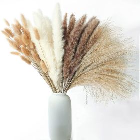 60/62/76/80/85/100pcs Boho Pampas Grass Bouquet Home Decor Floral Dried Flowers Wedding Arrangements Natural Reed Bunny Tails (Ships From: China, Color: 100pcs)