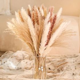 60/62/76/80/85/100pcs Boho Pampas Grass Bouquet Home Decor Floral Dried Flowers Wedding Arrangements Natural Reed Bunny Tails (Ships From: China, Color: 85pcs)